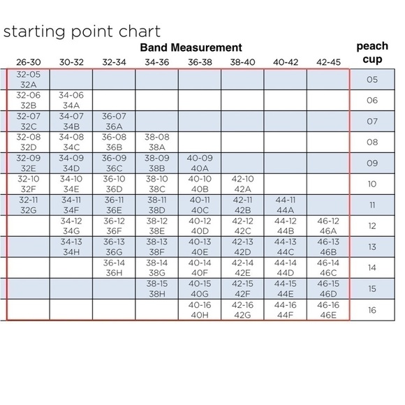 Peach Company Black Lovely Full Coverage Bra 42-16 44F - Picture 9 of 9